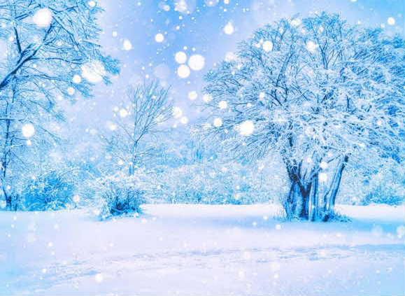 大雪や吹雪の予報がはずれ今朝10ｃｍ程度の積雪で今は陽も射しています　雪が降ると童謡「雪」を思い出します ♪ 雪やこんこあられやこんこ♪　のんきに歌を歌っている場合ではありませんが「雪やこんこ」は漢字で「雪や来ん来ん」と書き雪に喜ぶ子どもたちが「雪よもっと降れ降れ」という意味だそうです　一方「こんこんと雪が降る」は「雪が盛んに降る」様を表すときに用いられます　子どものころ「雪やこんこん」と間違って歌っていたことを思い出します　言葉の持つ意味の深さを教えられました