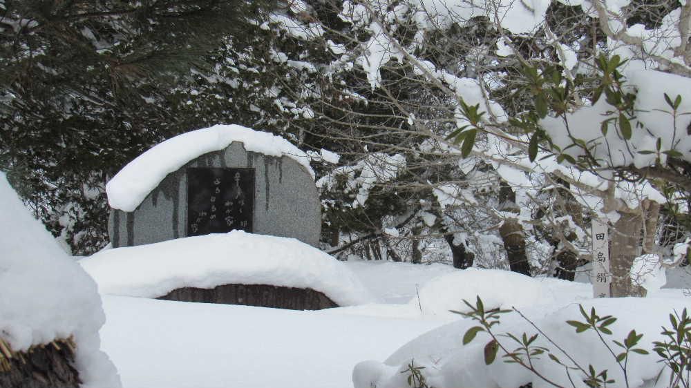 双松公園に建立されている「田島賢亮（俳号　田島絹亮）の歌碑が雪に埋もれていました　今朝はかなりの雪が降りすっぽりと雪に覆われているかもしれません　南陽８ミリクラブでは漆山村（現在の南陽市漆山）に生まれた田島賢亮は数奇な運命をたどりながら生涯を教育に捧げた教育者の生き方をテーマに視聴覚教材を制作し　２月２２日に作品発表会を行います　２月末で雪も少なくなるものと思いますのでおいでをお待ちしております