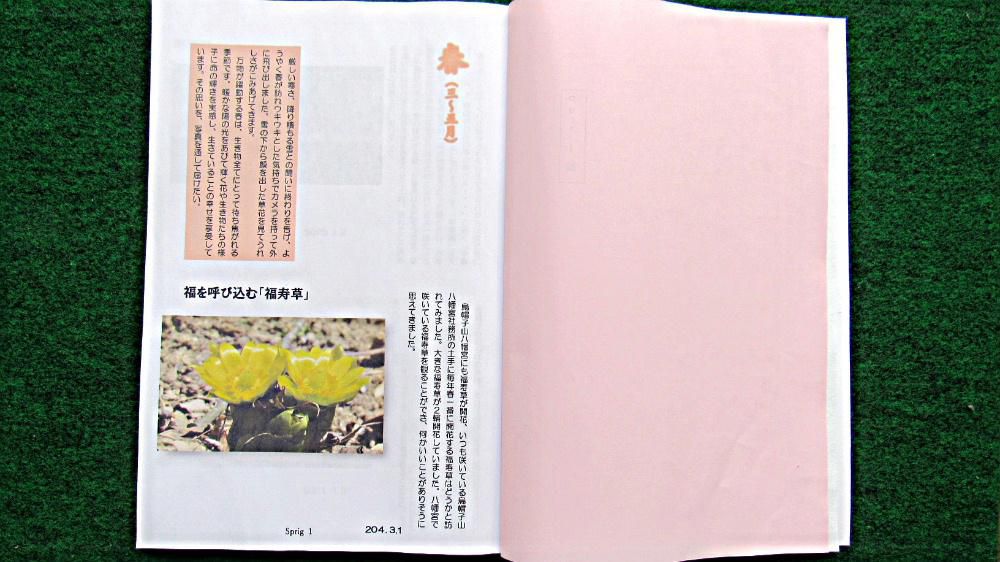 今日は節分　いよいよ暦の上では春がやってきます　でもマーちゃんの花暦ではまだまだ春は先のようです　ご案内しておりました「マーちゃんの花暦　春夏秋冬」が完成しました　といっても間違いも多くプリンターのインクももったいないのでモノクロで試作本です　開いても花の美しさを感じとることができずちょっぴり残念ですがじっくりと校正してそのうち完成本を発刊します　1冊だけの筆者のお遊びです　巻頭言をのせていますので小さいのですがお暇なかたお読みください