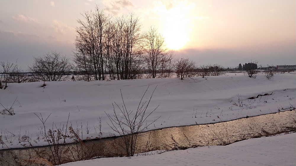 昨日の気温は３月並みの気温で積もった雪も解けて積雪量もぐっと少なくなりました　今朝も青空が見えます　３月の陽気も昨日まで明日からはまた冬に逆戻りの予報です　真冬の合間に晴れた昨日の夕方は西の空を赤く染め吉野川の川面を紅く染めていました　春までもう一息です