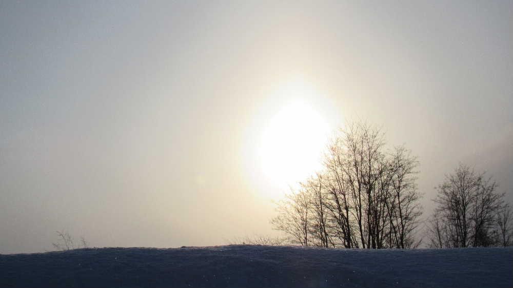 わりと暖かかった昨日ですが夕方にはぐんと冷えてきました　散歩で出会った夕日に照らされた土手や雪原の風景はまさに真冬の寒さを伝えています　今朝はまた冬に逆戻りし雪も舞っています　北海道などはこれまでにない雪の多さで生活をおびやかしていますが置賜地方は例年に比べるとまだそこまで雪は多くありません　もうこれ以上は沢山です