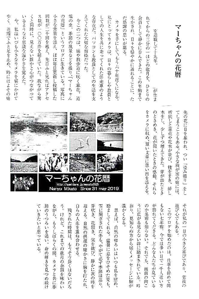 今朝は雪が１０センチほど春も一休みです　私が所属している団体が今年度６０周年を迎えました　会員一人ひとりに原稿の依頼があり「マーちゃんの花暦」と題する一文を寄せました　花が咲いていませんので文字でブログへの思いを認めました　高齢老人の暇つぶしでしかありませんがブログに訪問しお付き合いしてくださっている方へのメッセージを込めて原稿を作りました　投稿者マーちゃんの思いを感じとっていただけたらうれしいです