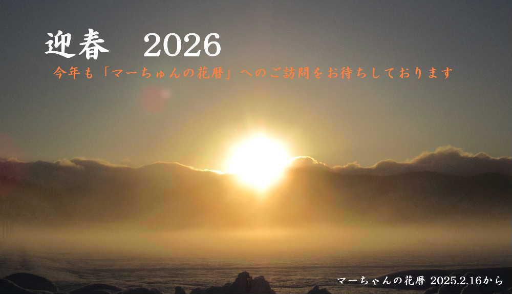 NHKの紅白異歌合戦が終り一瞬の静寂のあと ゆく年くる年でおごそかに除夜の鐘 そして再びおめでとうの華やかな騒音が飛び交っています 新しい年を迎え新春のお慶びを申し上げます 今年満80歳になります いつまで続けられるかわかりませんが今年もこのブログを発信しますのでよろしくご愛顧のほどをお願いします