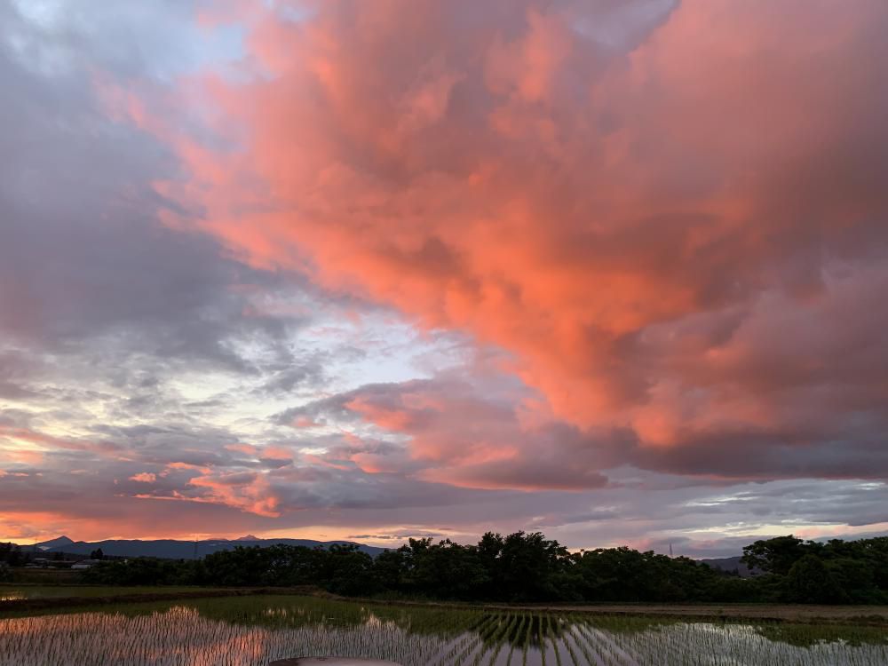 雲が赤くなった