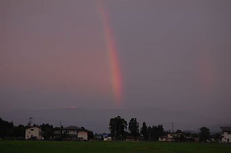 虹だ！！