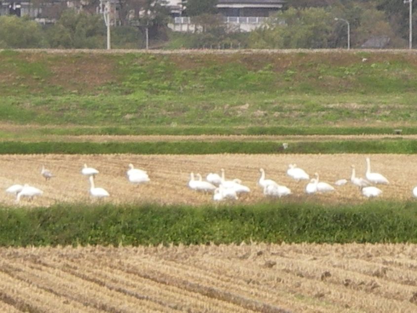 真室川 Ｏ様邸 祝☆お引渡し☆