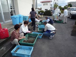 ｢自然の恵みもったいない塾｣でＥＭだんご作り