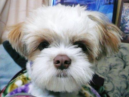 �֥��åפǤ�(^^)�פβ���