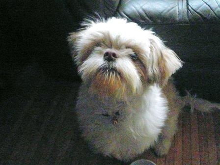 �֤����β���������(^_^;)�פβ���