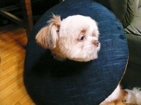 �̡֤�ȴ���ޤ���פβ���