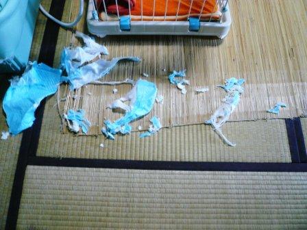 �ֺ���ԡ֥��ԥ��ספβ���