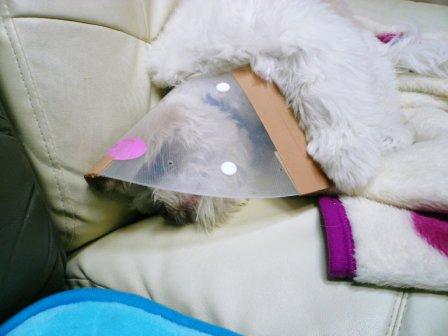 �־������ĸ����ˢ��פβ���