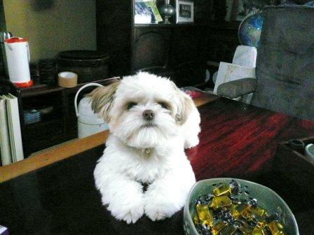 �֥֡��ԥ��פ�ȴ��פβ���