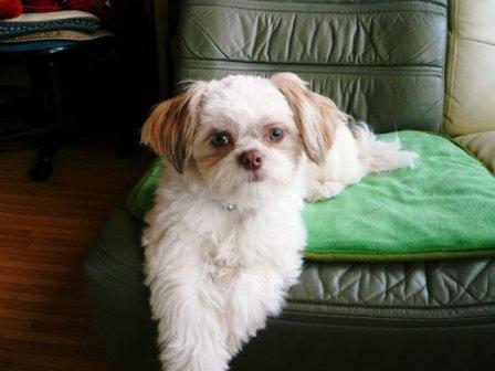 �֤�ꤷ���ʤä������顩���פβ���