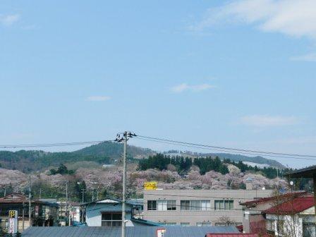 �֤��������鸫�뱨˹�һ��פβ���