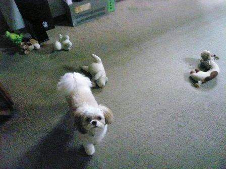 �ֶẢ�Ρ֥��ԥ��ספβ���