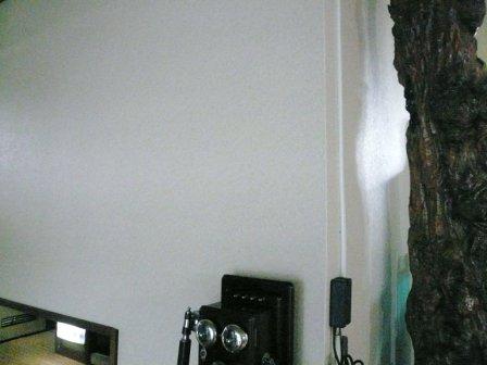 �֥��ӡ��Υ�����ĥ�ؤ��פβ���