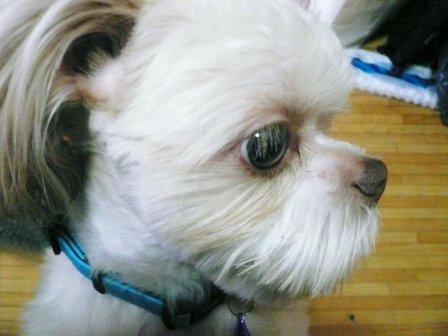 �֥֡��ԥ��ספβ���