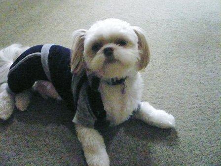 �֤������פβ���