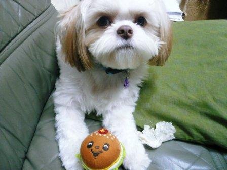 �֤������פβ���