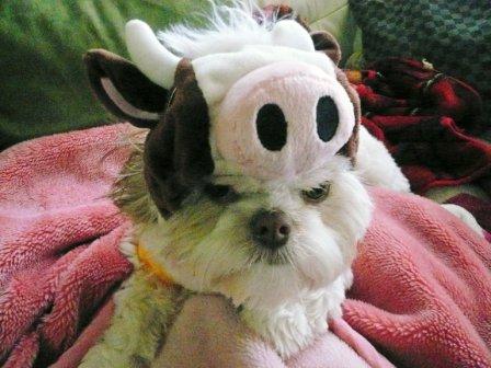 「不機嫌ですねぇ・・・」の画像