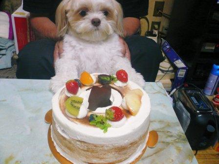 �֤��������פβ���