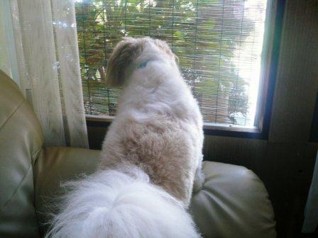 �ֳ��ϱ��Ǥ��������פβ���