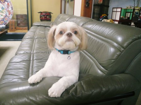 �֤֡�����󴶼եǡ��ץ������о�פβ���