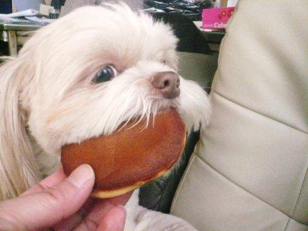 �֤ɤ�䤭�������פβ���