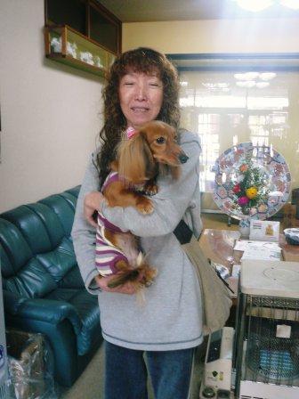 �֤ʤʤ����פβ���