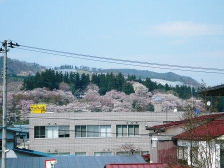 ���������鸫������פβ���