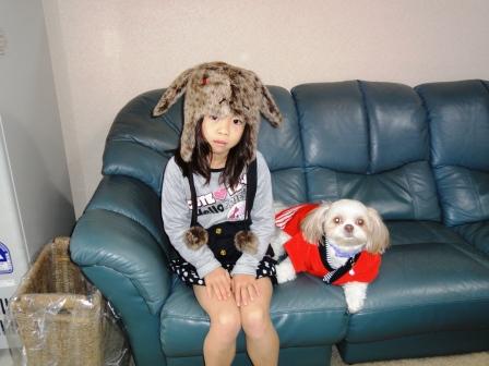 �������Τ��襤�������͢��פβ���