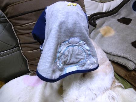 �֤��餬�����ʤ��Ƥ����ʤ����������פβ���