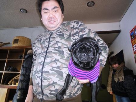 �֥��������פβ���