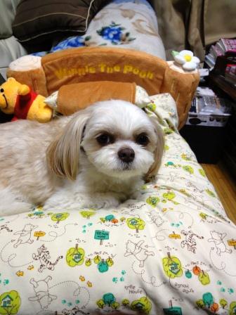 �֤ס�����Υ٥åɤǤ��פβ���