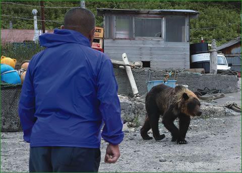 ヒグマを叱る…野生動物とのソ－シャルディスタンス