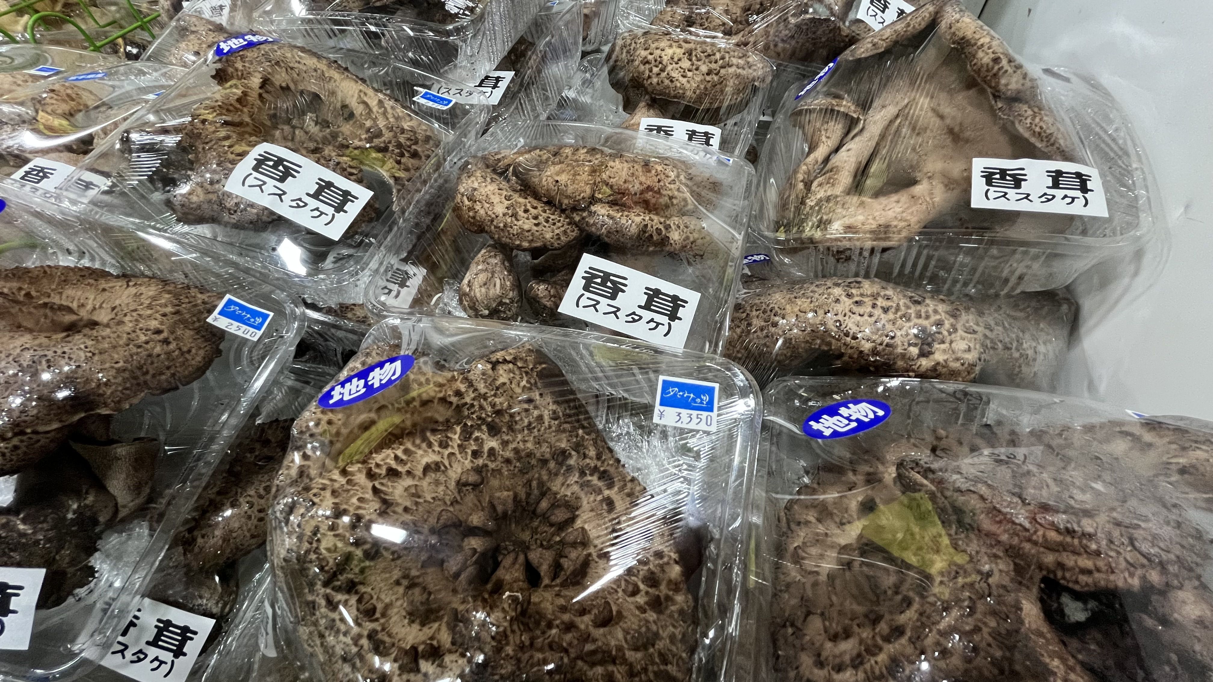 香茸！シシタケ！ススダケ！…etc 入荷しました！