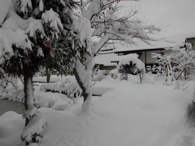 ★。★いや～！！今日の朝はすごい雪でした・・・美蔵