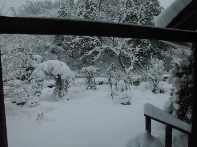 ★。★間違いなく雪が降っております・・・美蔵