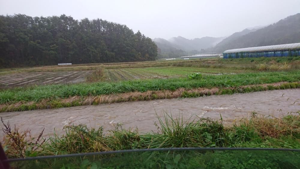 ★。★今日は、雨にお気をつけください・・・美蔵