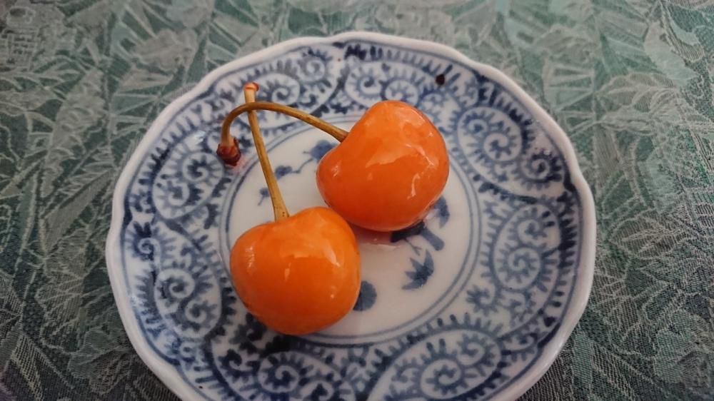 ★。★今年の【さくらんぼ】漬けできました・・・美蔵