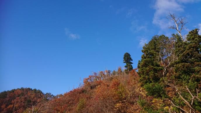 ★。★庭のお片付け・・・美蔵