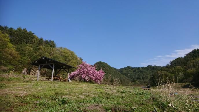 ★。★2日前ののどかな風景です・・・美蔵