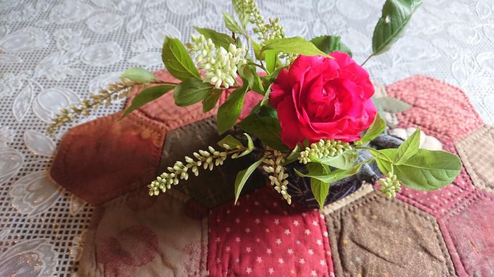 ★。★今日のお花は・・・美蔵