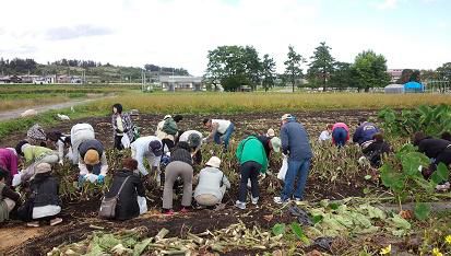 「むらやま芋煮会」参加者募集