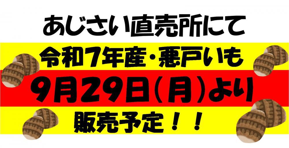 令和７年度産・悪戸いも　間もなく販売開始！