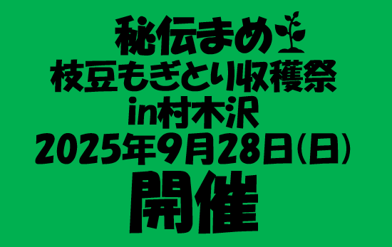 本日枝豆【秘伝まめ】収穫祭開催♪