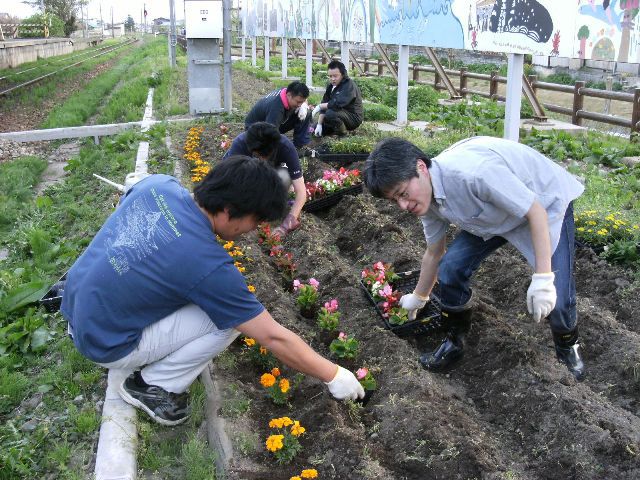長井駅周辺整備　花植え作業