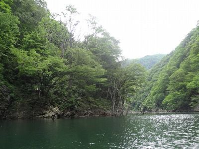 三淵渓谷参拝と長井ダム・百秋湖遊覧に行ってきました！（6月14日）