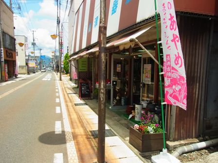 長井の商店街は花日和。